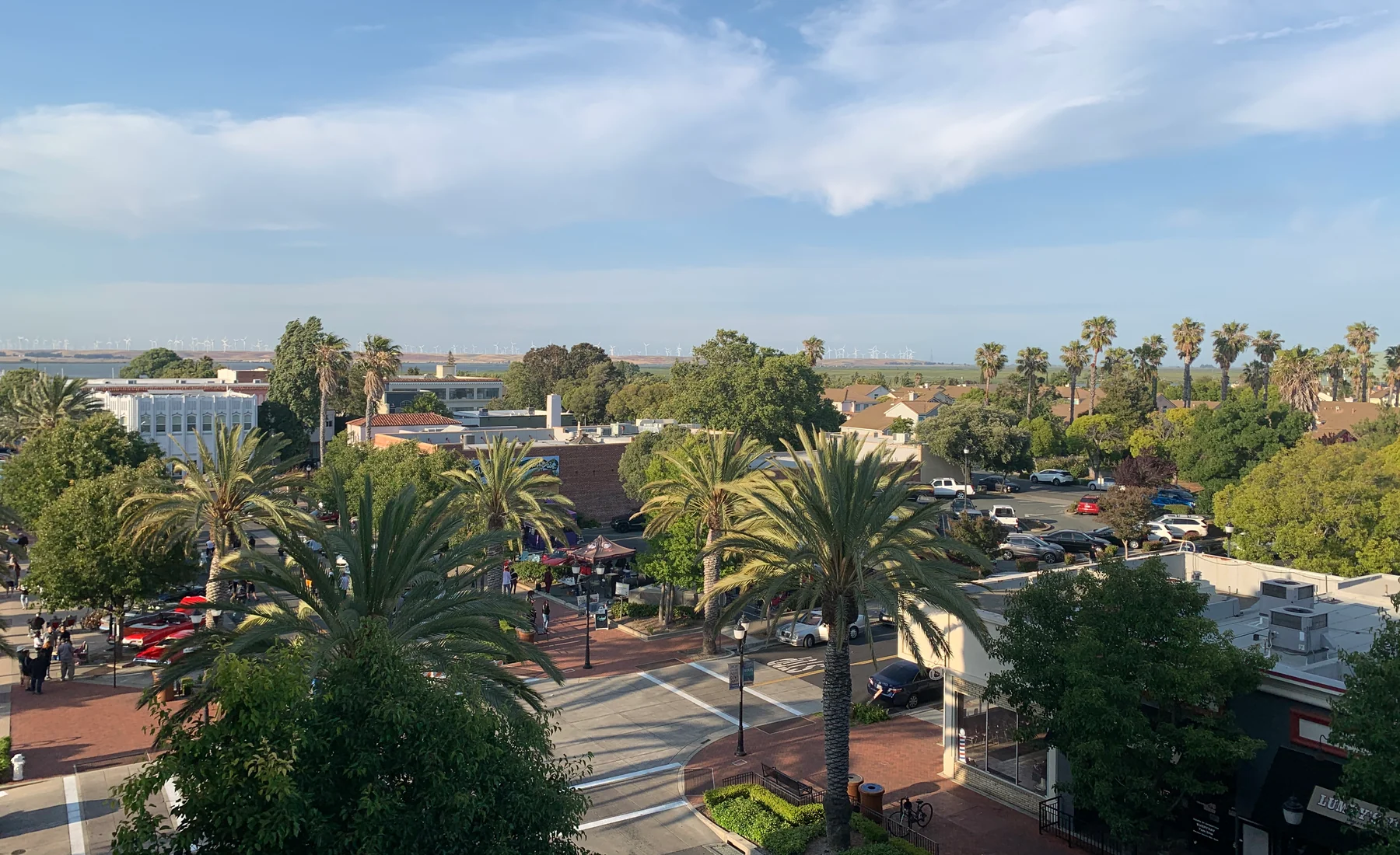Old Town Pittsburg, California with palms, streets, and the Delta horizon