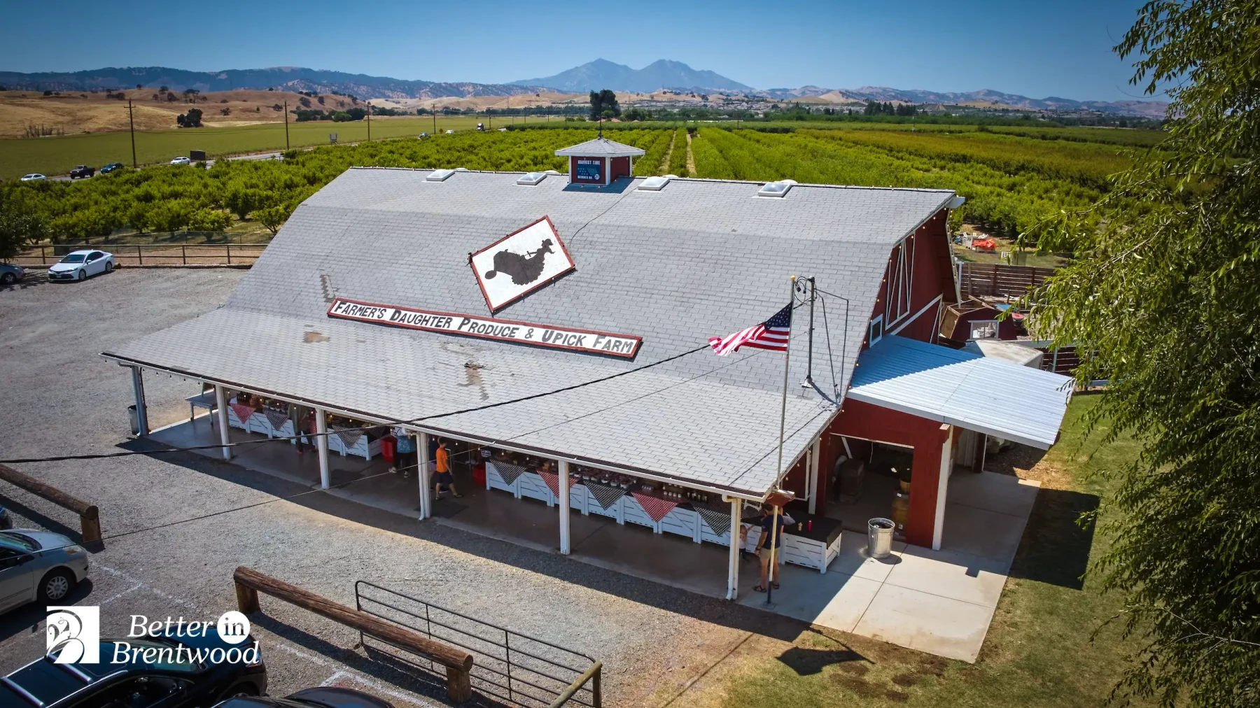 Aerial view of the red barn and surrounding orchards at Farmer’s Daughter Produce in Brentwood