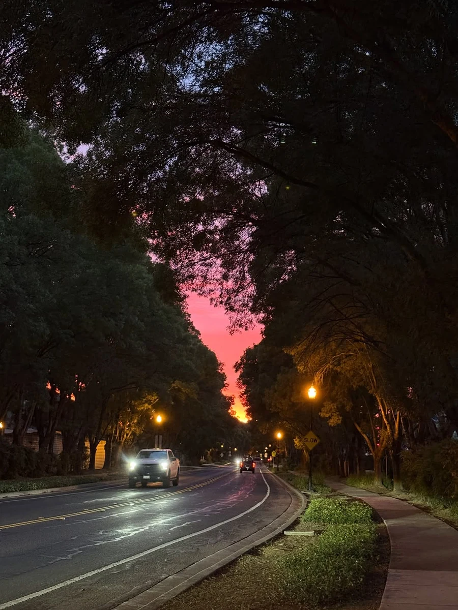 An official City of Brentwood photograph of the local landscape at twilight